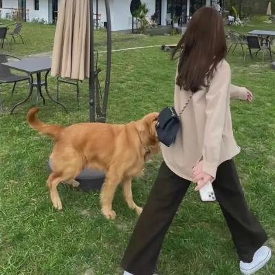 麻辣拍档